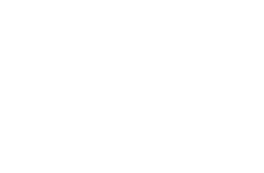 Tiny Island Studio palm island logo